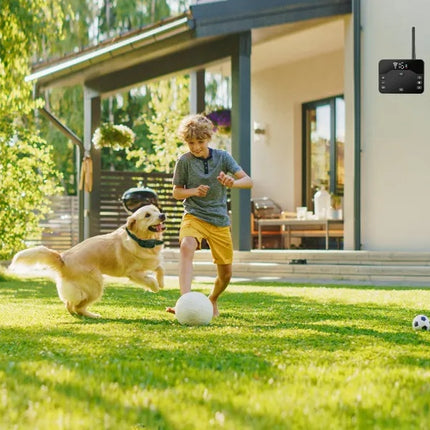 Wireless Electric Dog Fence Waterproof Pet Shock Boundary Containment System Electric Training Collar For Small Medium Large Dogs