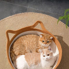 Cat Nest / M
