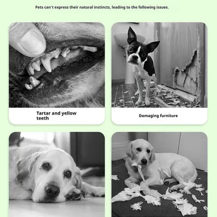DOG Chew Toys For Teeth Cleaning,Pet Sausage Chew Brush,Pet Chew & Clean Buddy