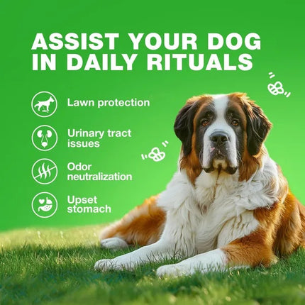 Grass Burn Spot Chews For Dogs Urine Neutralizer