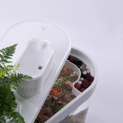 Geometric Amphibious Ecological Lazy Fish Tank