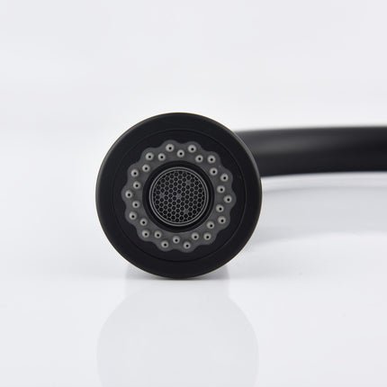 Single-handle Pull-down Kitchen Faucet With Dual-function Sprinklers