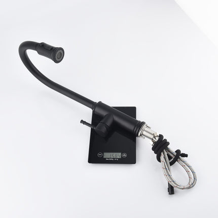 Single-handle Pull-down Kitchen Faucet With Dual-function Sprinklers