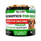 Probiotics For Dog