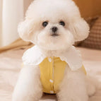 Rock Yellow / XS
