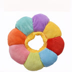 Colorful Sunflower / XS