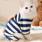 Navy Blue Bear / XS