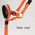 Orange / S