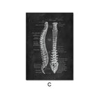 C / 10X15cm