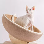 Eggshell / ONESIZE