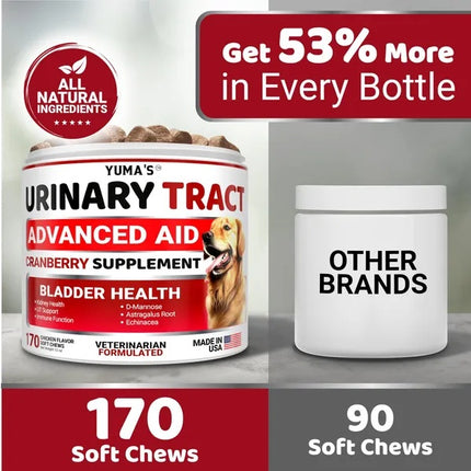 Dog UTI Treatment 170 Treats Cranberry Supplement For Dogs Bladder Control For Dogs