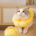 Yellow Sunflower / XS