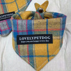 Plaid / S