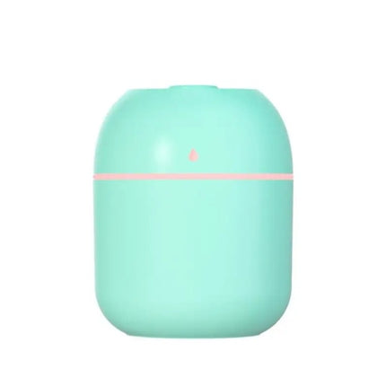 Portable Mini Humidifier 220ml Small Cool Mist Humidifier USB Personal Desktop Humidifier For Bedroom Travel Office Home
