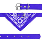 Blue M