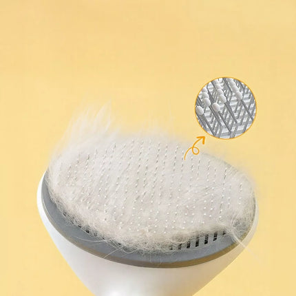 5d58a61b-6da3-4956-9c3d-aa2112f2684e-Max-Origin