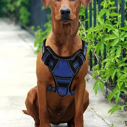 Tactical Service Dog Harness Strap Set, Car Seat Belt, Collapsible Bowl, Biodegradable Trash Bag Set For Dogs