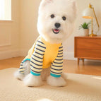 Yellow / XS