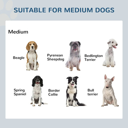 Double Stainless Steel Heavy Duty Dog Food Bowl Elevated Pet Feeding Station