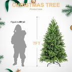 7ft