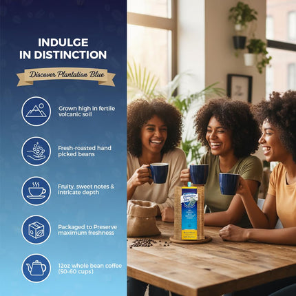 PREMIUM PLANTATION BLUE TRADITION CLASS EXPERIENCE 100% Blue Mountain Coffee Jamaica, Medium Roasted & Ground (8oz)