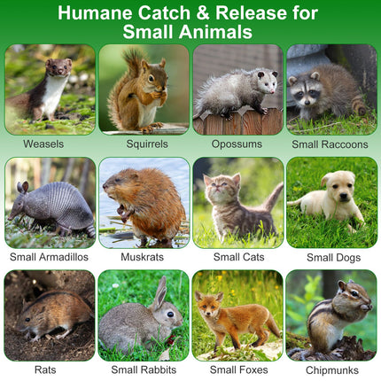 2Pcs 18x8x10In Humane Single Door Live Animal Trap Collapsible Galvanized Iron Animal Cage Catch And Release For Small Squirrel Raccoon Feral Cat Weasel Armadillo Opossum