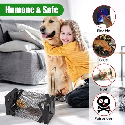 Humane Mouse Trap Cage, Non-Lethal No ElectricityGlueChemicals, Heavy Duty 1.15mm Metal