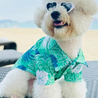 Green Beach Shirt / XS