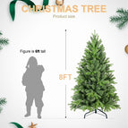 8ft