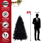 6ft