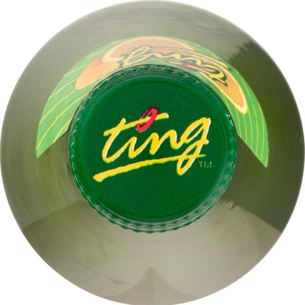 Ting Sparkling Jamaican Grapefruit Flavored Beverage, 10.14 oz Bottles, Pack of 6