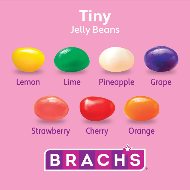 Brach's Tiny Jelly Beans, Springtime Easter Candy, 9 oz (18 Individually Wrapped Pouches)