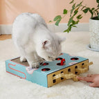 Toy Box (no Shaker) / ONESIZE