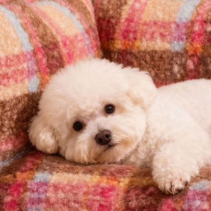 74c41678-1255-41ce-ad48-6171ccb49757-Max