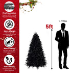 5ft