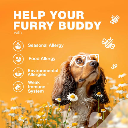 Dog Allergy Relief Chews Itch Relief For Dogs Anti Itch Dog Allergy Chews US Formulated Dog Itching Skin Relief With Salmon Oil Immune Health Seasonal Allergies & Hot Spots Support Treats
