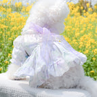 Purple Bow / XS