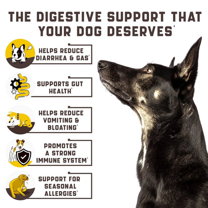 NO AMAZON Probiotics For Dogs Support Gut Health Itchy Skin Allergies Yeast Balance Immunity Probiotics And Digestive Enzymes For Small Medium And Large Dogs 180 Probiotic Chews For Dogs Duck Flavor