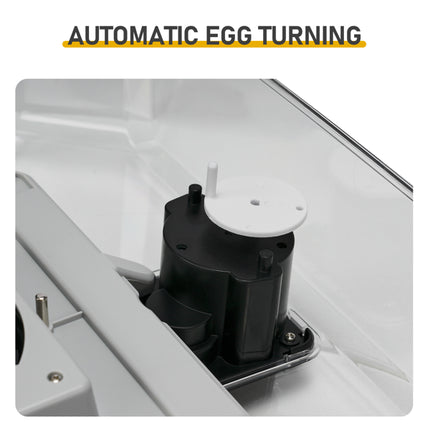 Fully Automatic Egg Turner
