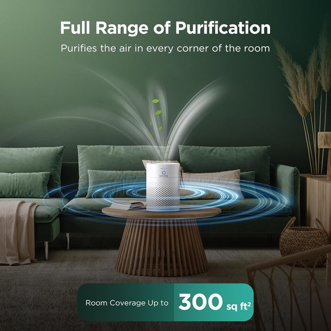Air Purifiers For Home Bedroom H13 True HEPA Air Filter, Quiet Air Cleaner,Portable Small Air Purifier For Office, Living Room,Amazon Banned Sales Platform