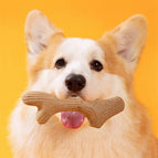 Digestible toys / S