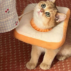 Toast Collar / S