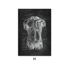 H / 10X15cm