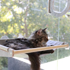 Cloth Hammock / One Size