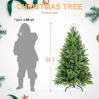 6ft