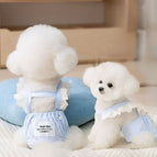 Light Blue / S