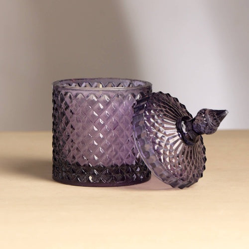 Plush Radiance Scented Wax Candle