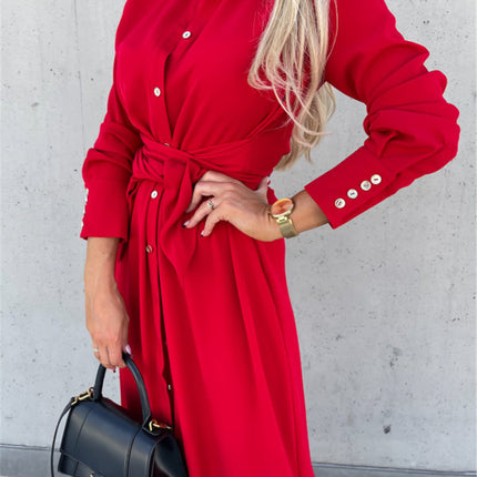 Women's Clothing Autumn And Winter Color Cardigan Long Sleeve Big Hem Dress