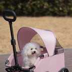 Pink With Shed / One Size