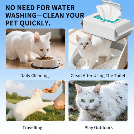 Pet Wipes For Dogs,Cats-Unscented,Alcohol-Free Gentle Grooming Wipes For Paws, Body,Bum-Quick Cleaning For Fresher, Healthier Pet-100 Sheets
